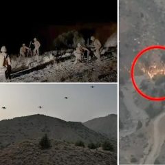 operation shaban 83