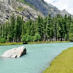 saifullahlake incident