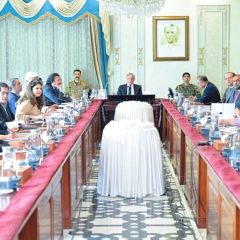 smeda meeting
