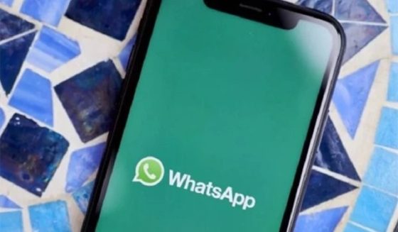 whatsapp development