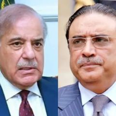 asif zardari shehbaz sharif