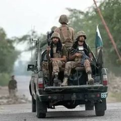 forces operation kp