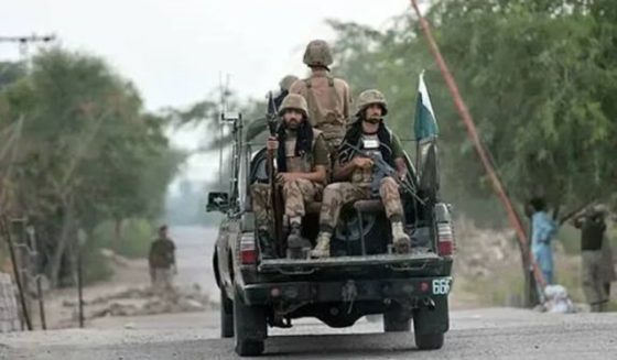 forces operation kp