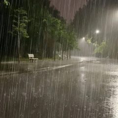 heavy rain alert in punjab