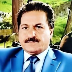 pmln president firing