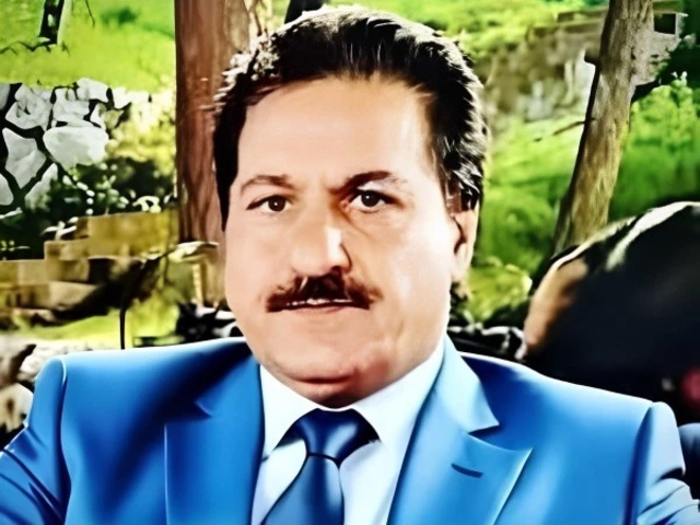 pmln president firing