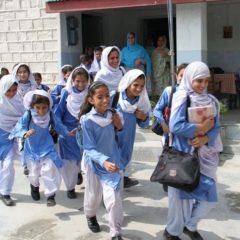 school open in kp