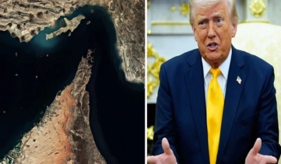 trump statement strait of hormuz