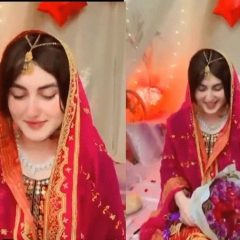 foriegn girl victim of gang rape was married in jehlum