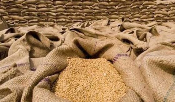 government approves import of wheat