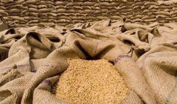 government approves import of wheat