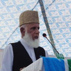 hafiz mohammad idrees