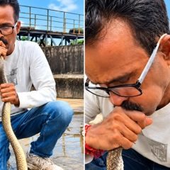 indian person saved a unconscious snake by giving cpr