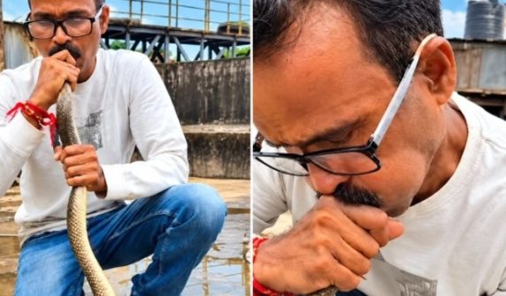indian person saved a unconscious snake by giving cpr