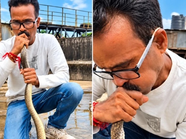 indian person saved a unconscious snake by giving cpr