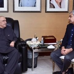 meeting between mohsin naqvi and asif zardari