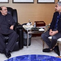 president asif ali zardari meeting with mohsin naqvi
