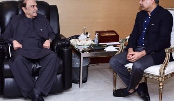 president asif ali zardari meeting with mohsin naqvi