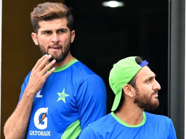 salman ali agha and shahid afridi