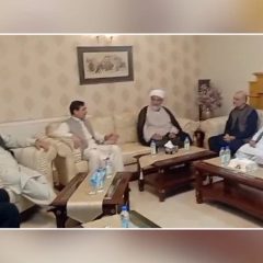 meeting between tehreek tahaffuz aain and jamat e islami