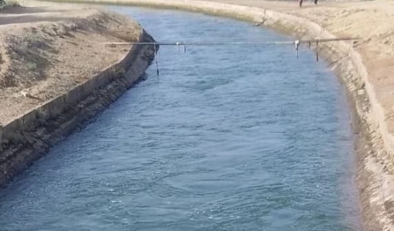 parents, distressed by their children's behavior, jumped into the canal