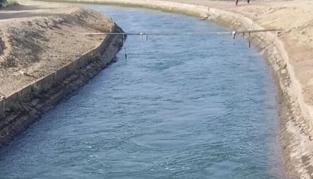 parents, distressed by their children's behavior, jumped into the canal