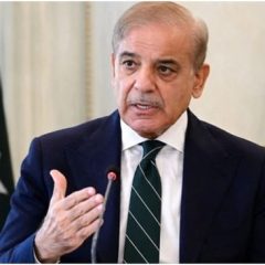 pm chaired apex committee meeting